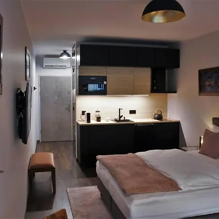 Boutique 109 - Old City, Luxury Apt. With A Garage 크라쿠프